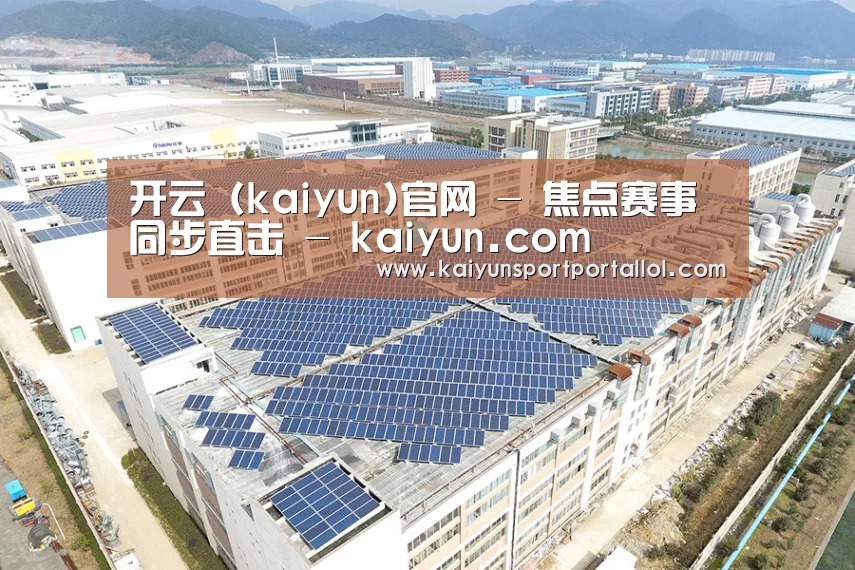案例展示一