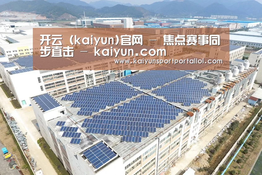 案例展示三