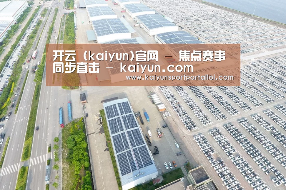 案例展示四