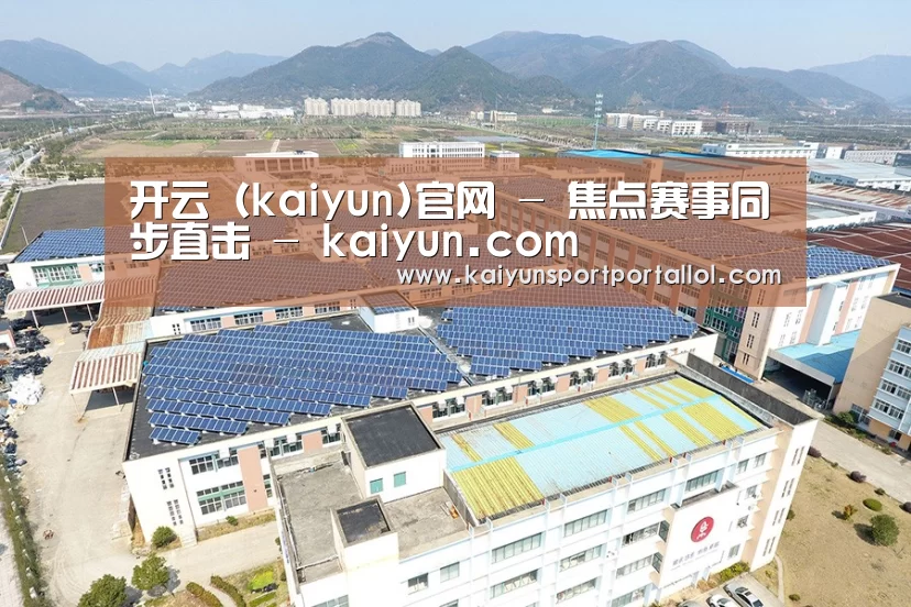 案例展示三