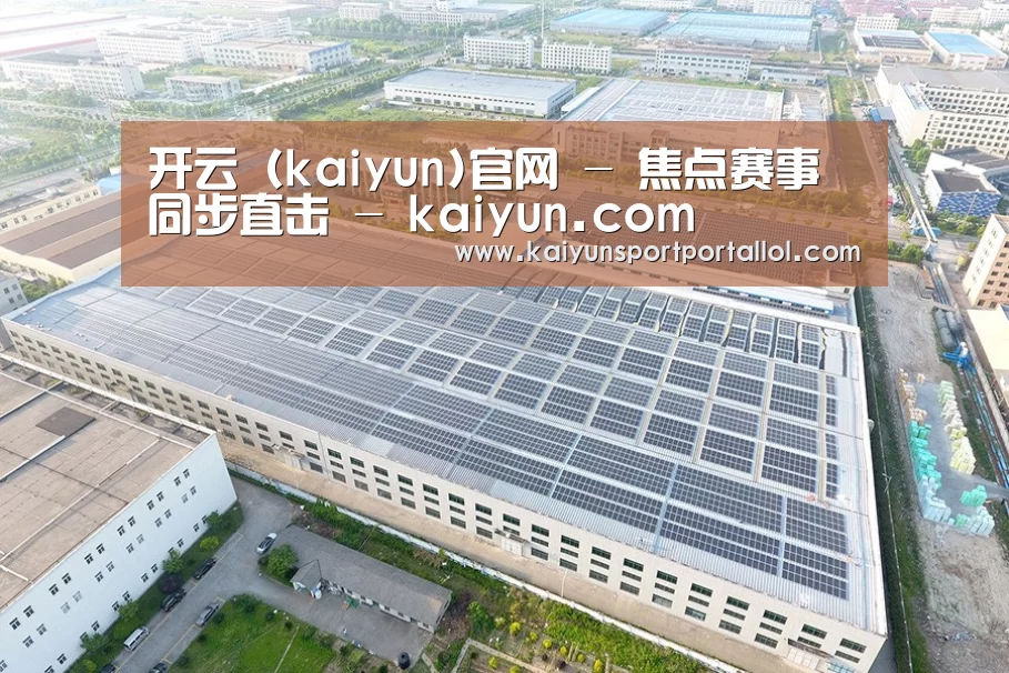 案例展示四