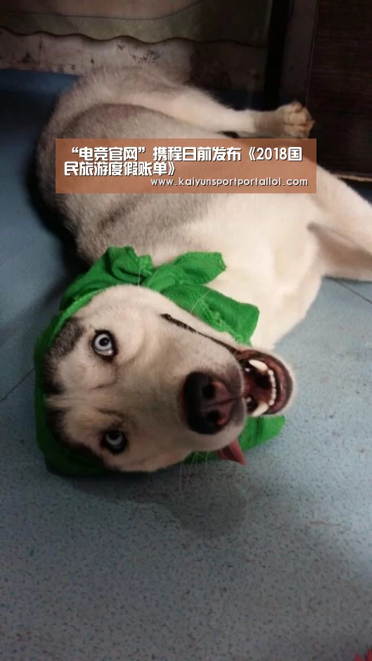开云电竞官网